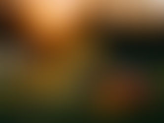 Ich gehe keine Kooperationen ein