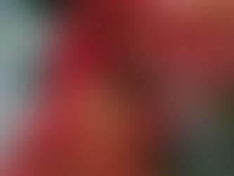 Bloggen ohne Social Media