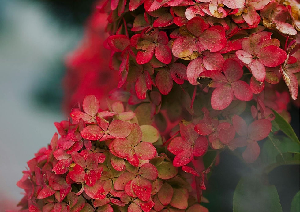 Bloggen ohne Social Media