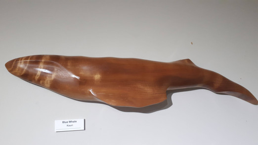 SMALL BLUE WHALE