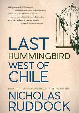 LastHummingbirdWestofChile_edited.jpg