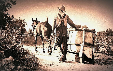 great-depression-farmer-and-mule_edited_