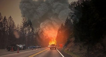 WildfireBurden2_edited.jpg
