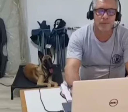 Consultoria Comportamental On-line