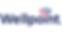 Wellpoint-Logo-330-1521693791.png