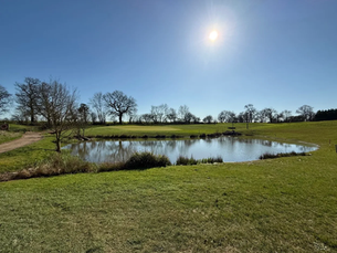 I got a horsefly bite on a golf course. Here's what every golfer needs to know.