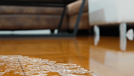 AdobeStock_289999176_2x.png