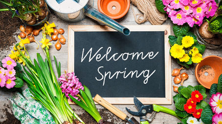 Spring into Gardening