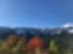 IMG_2970.jpeg