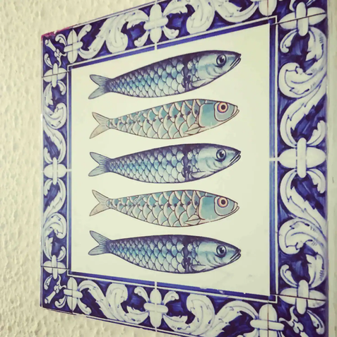 Sardinhas.webp