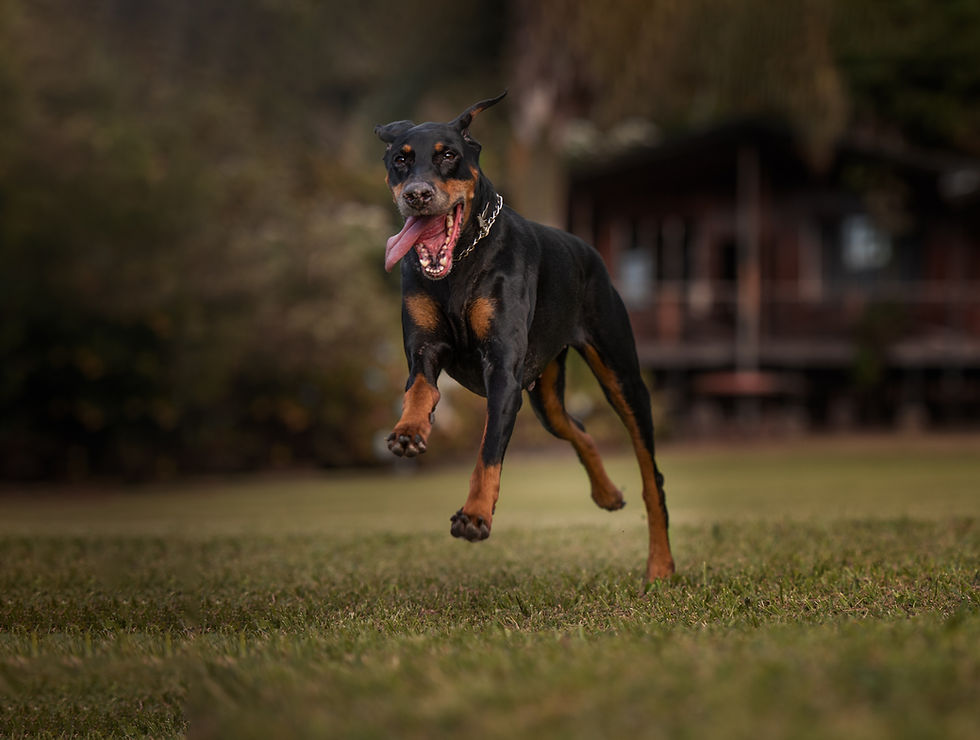 _DSC2170-Edit