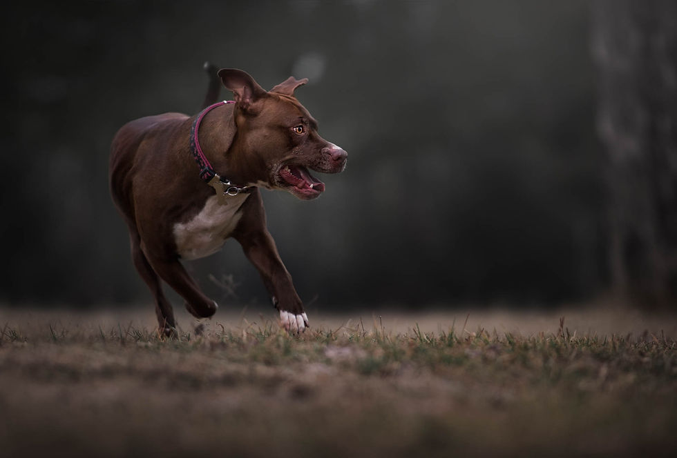 14012018-_DSC8295-Edit