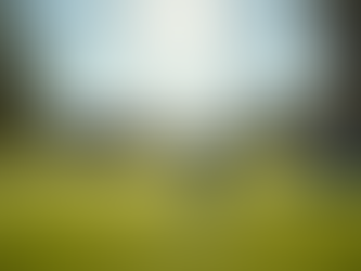 Seniors Golf Learning: Golf Lessons Tailored for Seniors