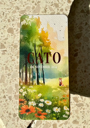 GEBOORTEKAARTJE: Cato