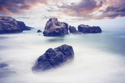 La nature