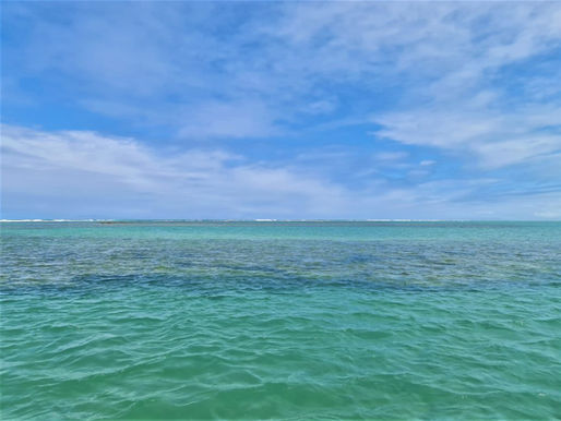 Japaratinga, uma jóia rara em Alagoas