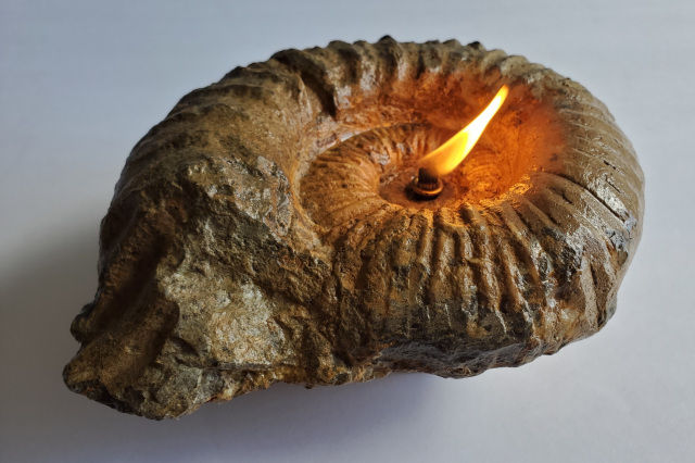 Ammonite Fossil Rock Candle - 1 wick