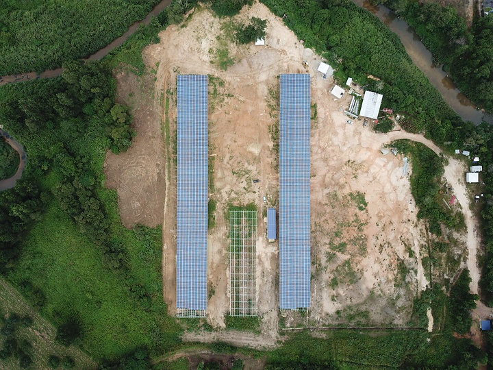 1 mw top view.jpeg