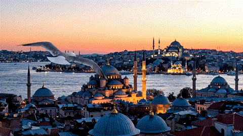 Sağlık, diş sağlığı,implant,zşrkonyum,estetik,saç ekimi, kanser ve onkoloji,tüp bebek hizmeti veren Sağlık Turizmi, Medikal Turizm alanında faaliyet gösteren Hizpen İstanbul şirketi.