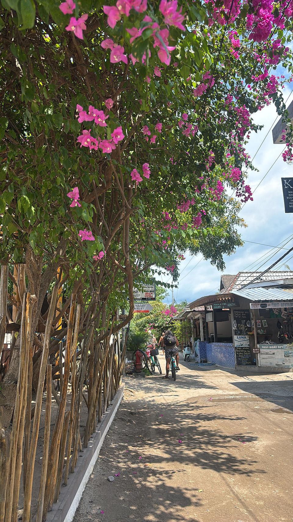 Pink tropical flowers blooming along a sandy street in Gili Air with local shops in the background