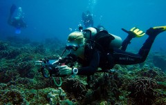 Scuba diver with underwater camera equipment exploring a coral reef in Lombok Indonesia