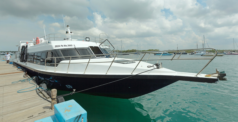 Serangan Harbour Guide: What to Know Before You Board