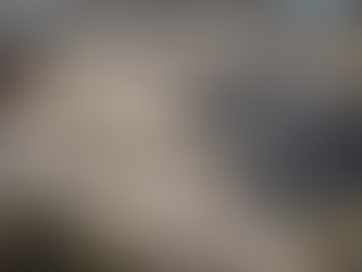 Professional Commercial Projects in Torquay