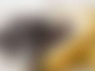 Frozen Chocolate Peanut Butter Banana Bites