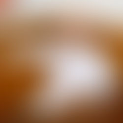 Lorenzo Antinori - Bar Leone