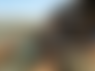 A detailed documentary-style panoramic photograph capturing the entire traditional tequila-making process in Jalisco, Mexico, from harvesting to production