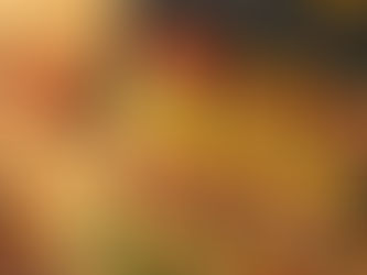 Illustrated dehydrator tray with dried citrus wheels, herbs, and fruit slices, with the title “Dehydration for Cocktails”.