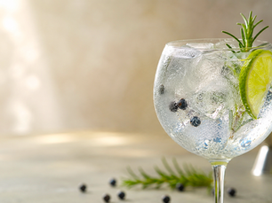 Professional Gin and Tonic with lemon peel garnish on a bar counter