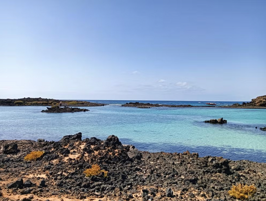 Lobos Island Snorkelling Trip