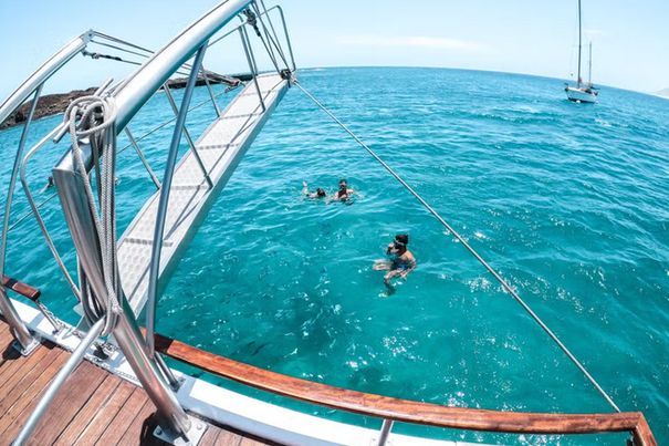 Lobos Island Snorkelling Trip
