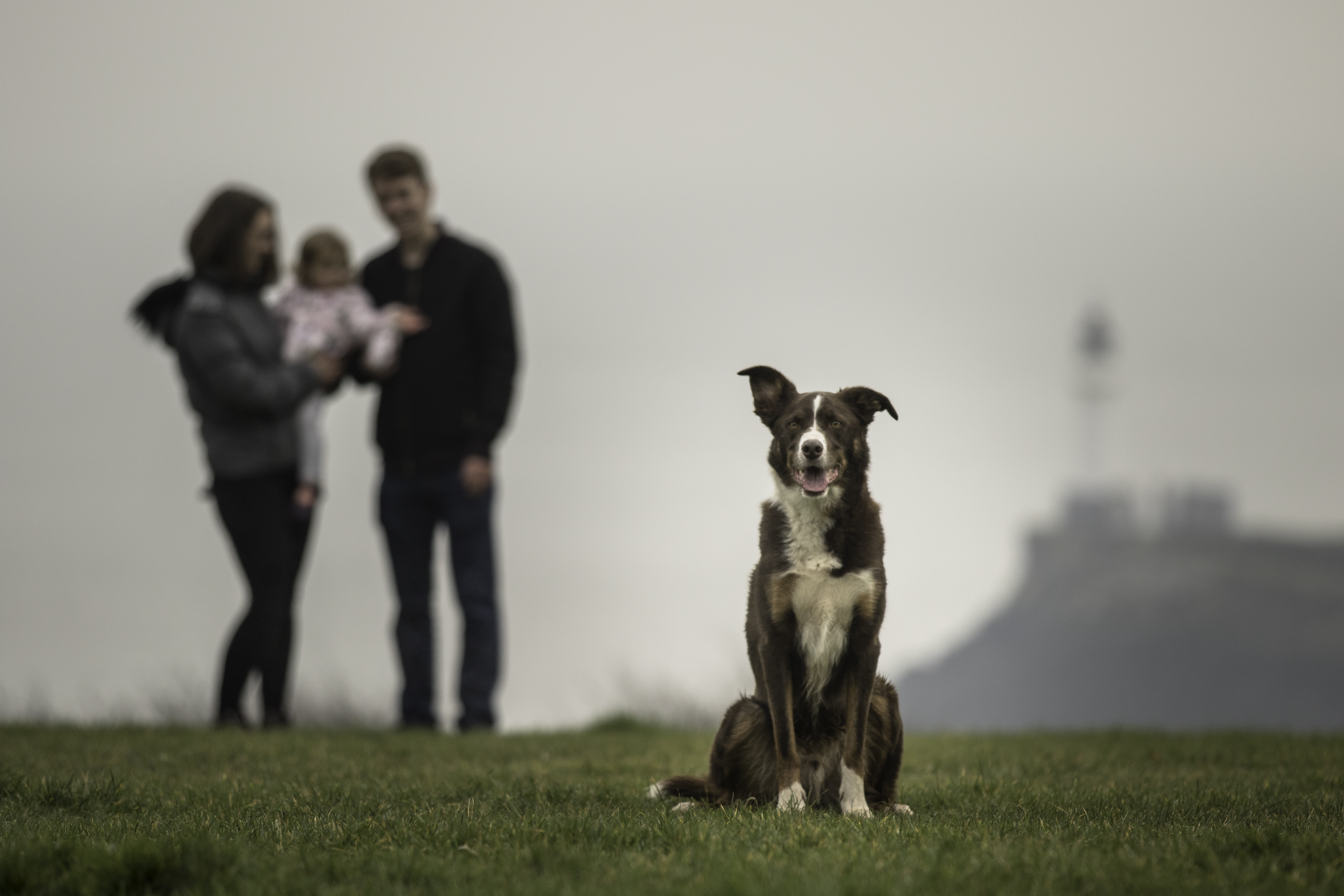 Pawfect pictures