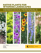 Screenshot (192).png