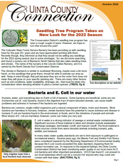 Screenshot (389).png