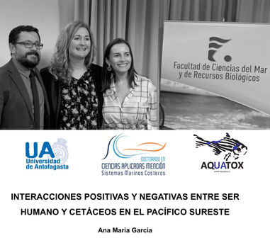 Screen Shot 2019-06-24 at 12.15_edited.jpg