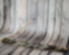 Thumbnail: Creating a Mindful Environment