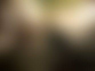 Requerimento questiona Prefeitura sobre uso de transporte por aplicativo