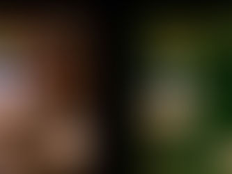 Alguns usuários de iPhone 11 reclamam da tela com uma tonalidade verde estranha