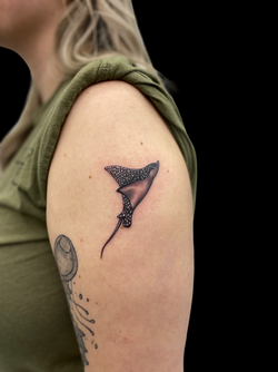 stingray-fine-line-beach-miami-tattoo