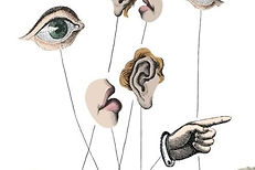 family-nation-and-religion-in-antigender-narratives-in-latin-america