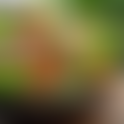 HCG Diet Salad Dressing: MCT Oil and Vinegar (Let's Talk Vinegar)