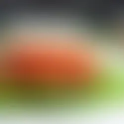 HCG Diet Recipe: Bison Burger Lettuce Stack with Fresh Tomato Relish