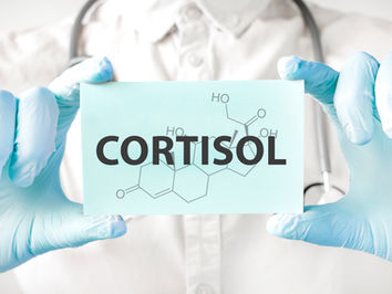 cortisol diet suggestions