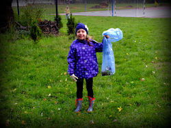 Tygryski sprzątają świat