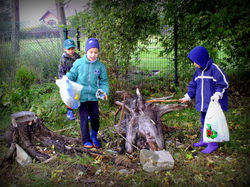 Tygryski sprzątają świat