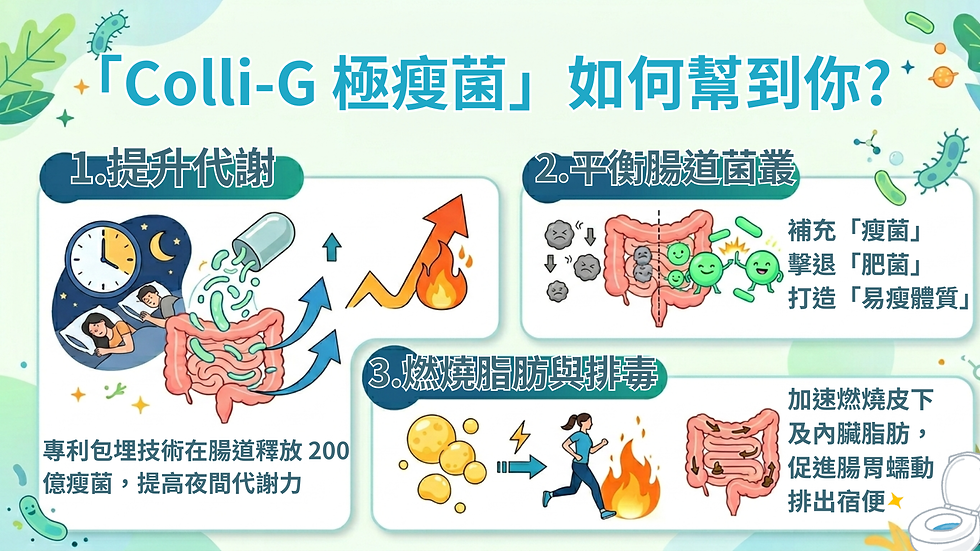 Colli-G 極瘦菌如何幫到你