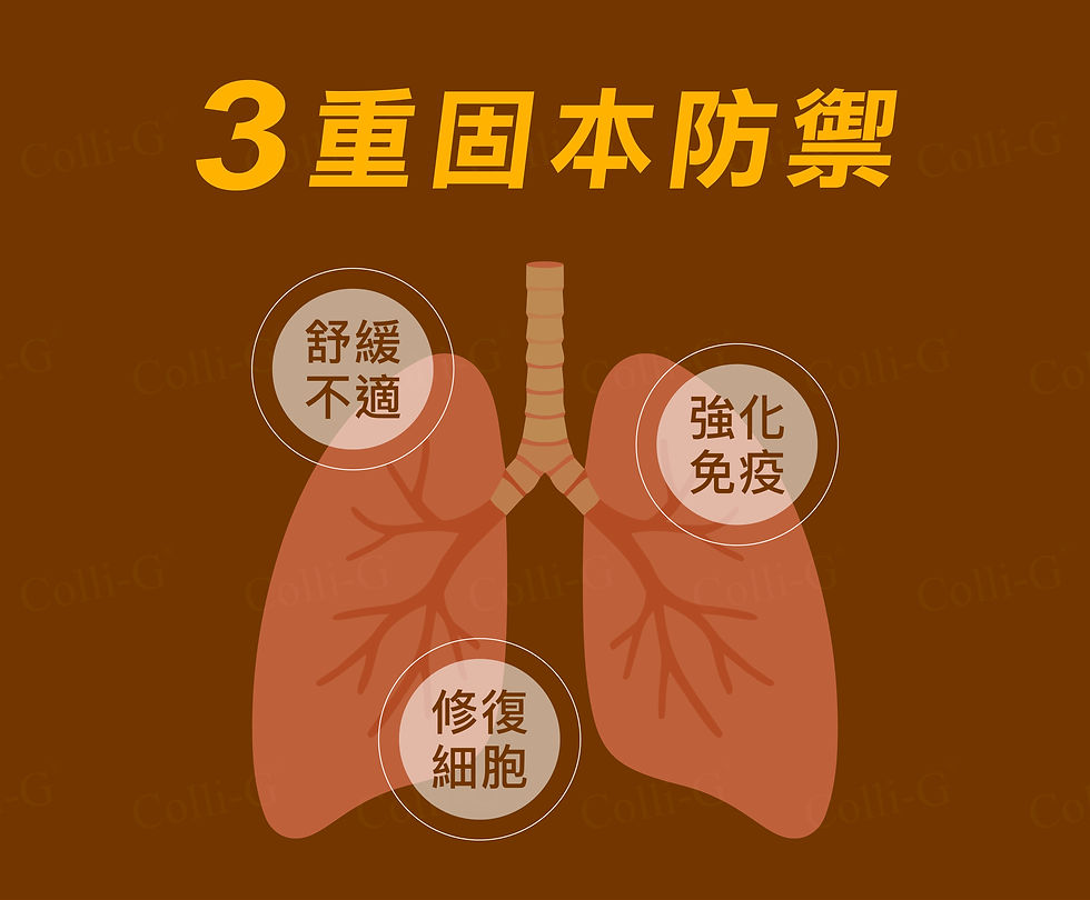虎乳芝能全方位增強免疫力
